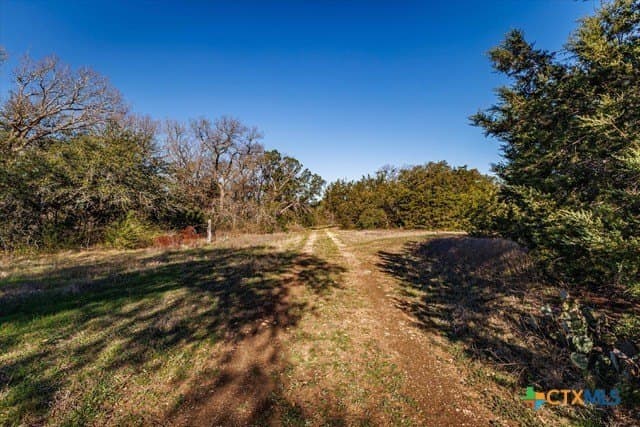 95.91 acres in Coryell County - photo 25
