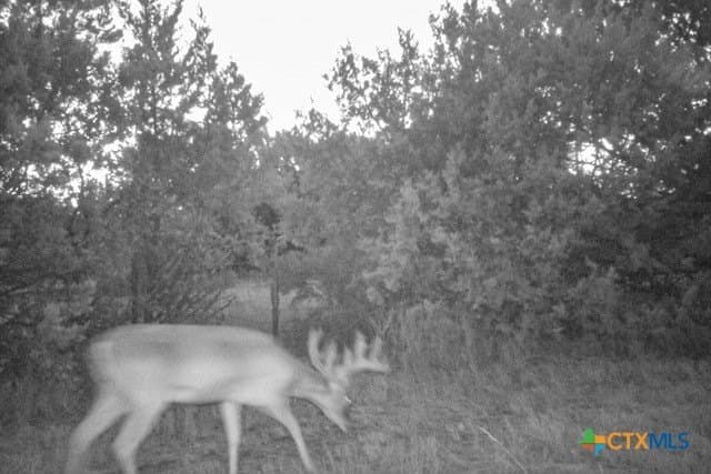 95.91 acres in Coryell County - photo 43