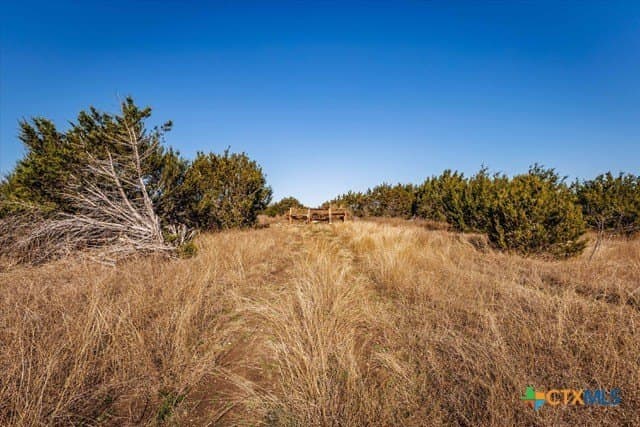 95.91 acres in Coryell County - photo 24