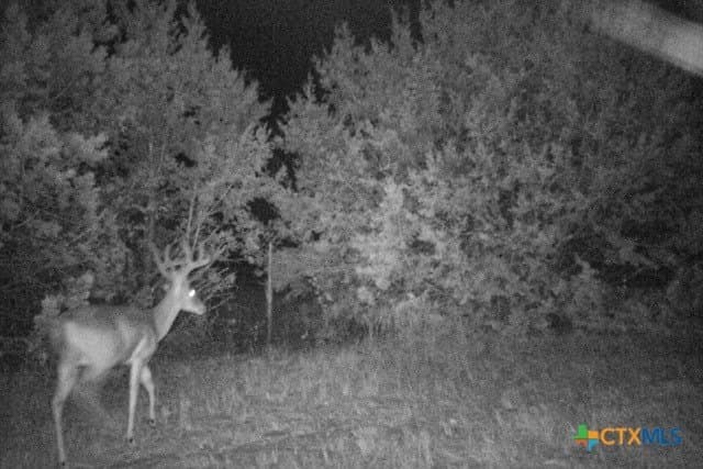95.91 acres in Coryell County - photo 40