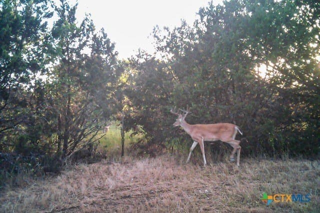 95.91 acres in Coryell County - photo 41