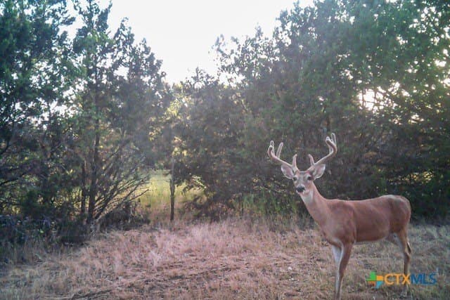 95.91 acres in Coryell County - photo 8