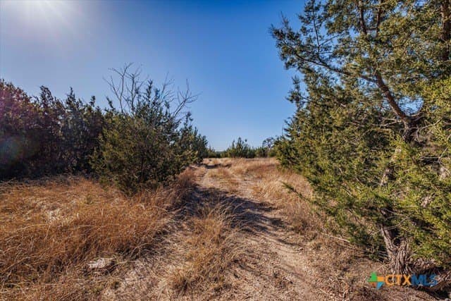95.91 acres in Coryell County - photo 22