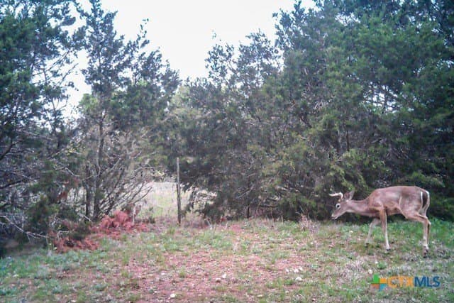 95.91 acres in Coryell County - photo 45