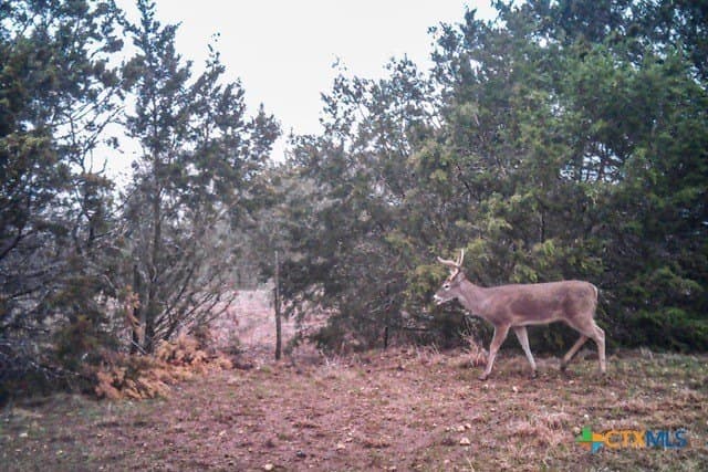 95.91 acres in Coryell County - photo 47