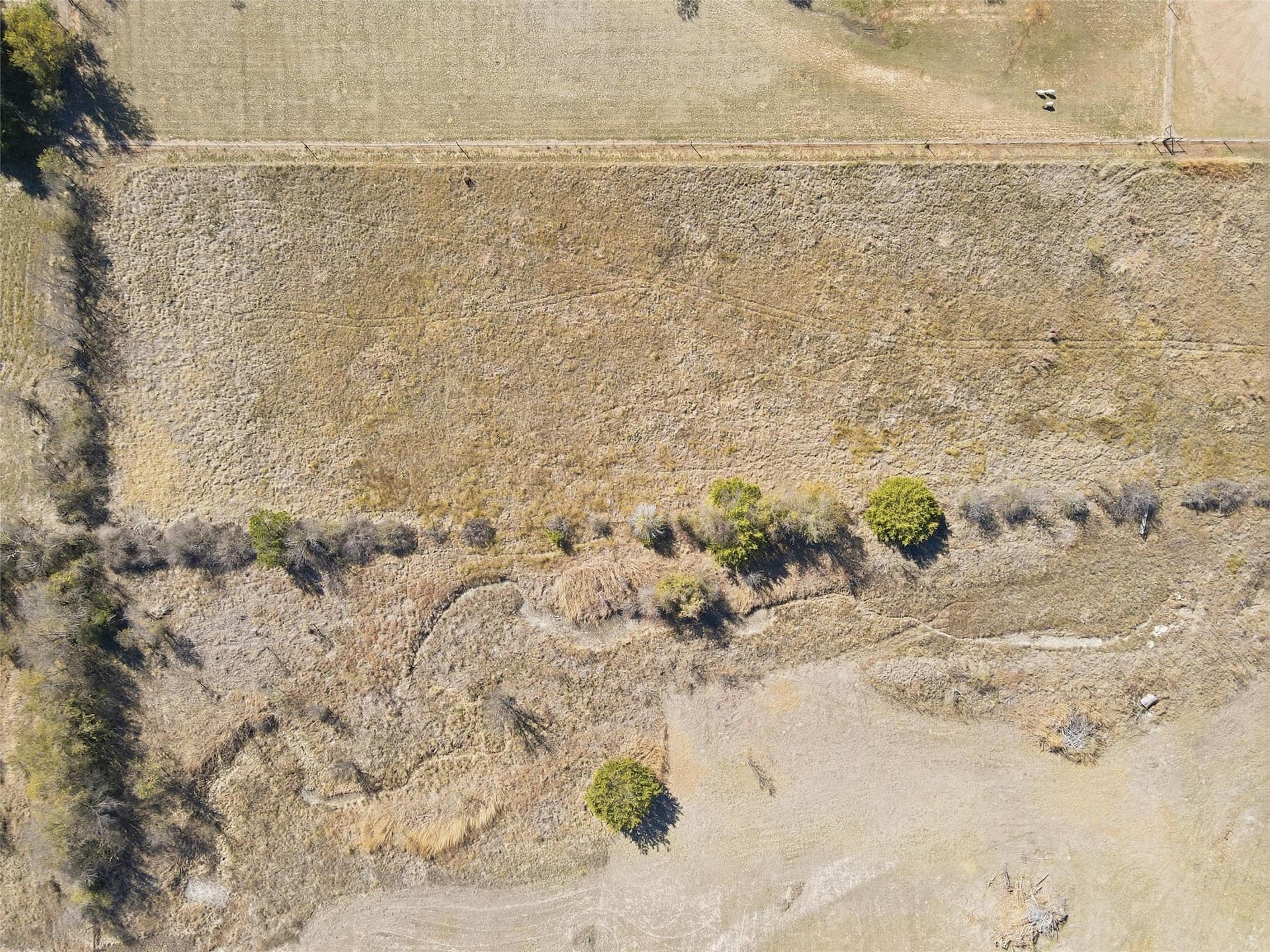 5 acres in Parker County - photo 6