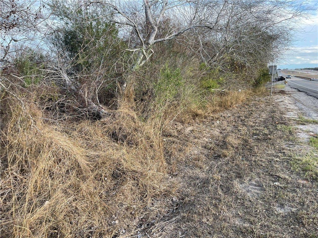 1.5 acres in Live Oak County gallery image 3