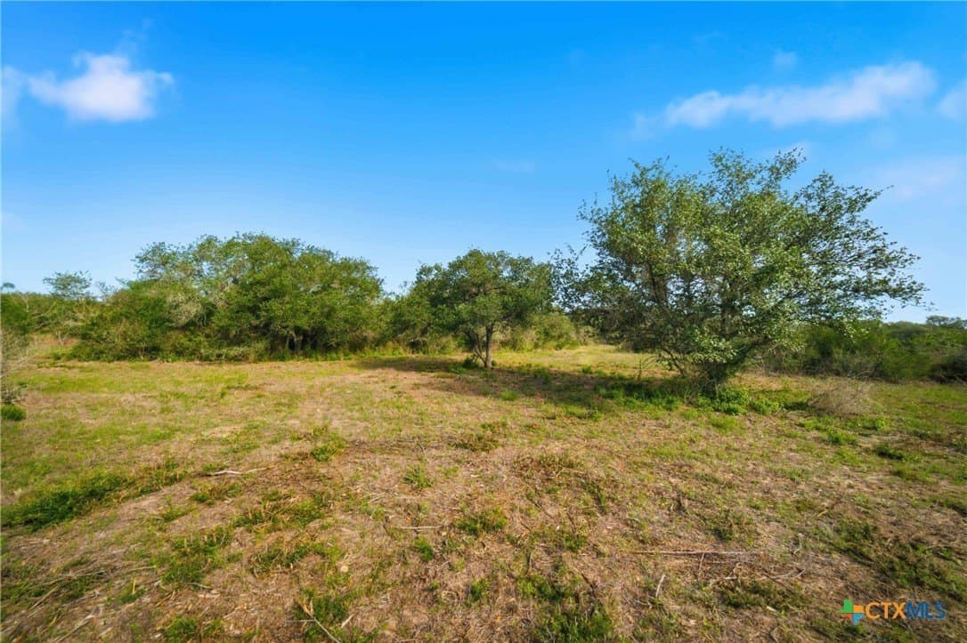 21.65 acres in Goliad County gallery image 3