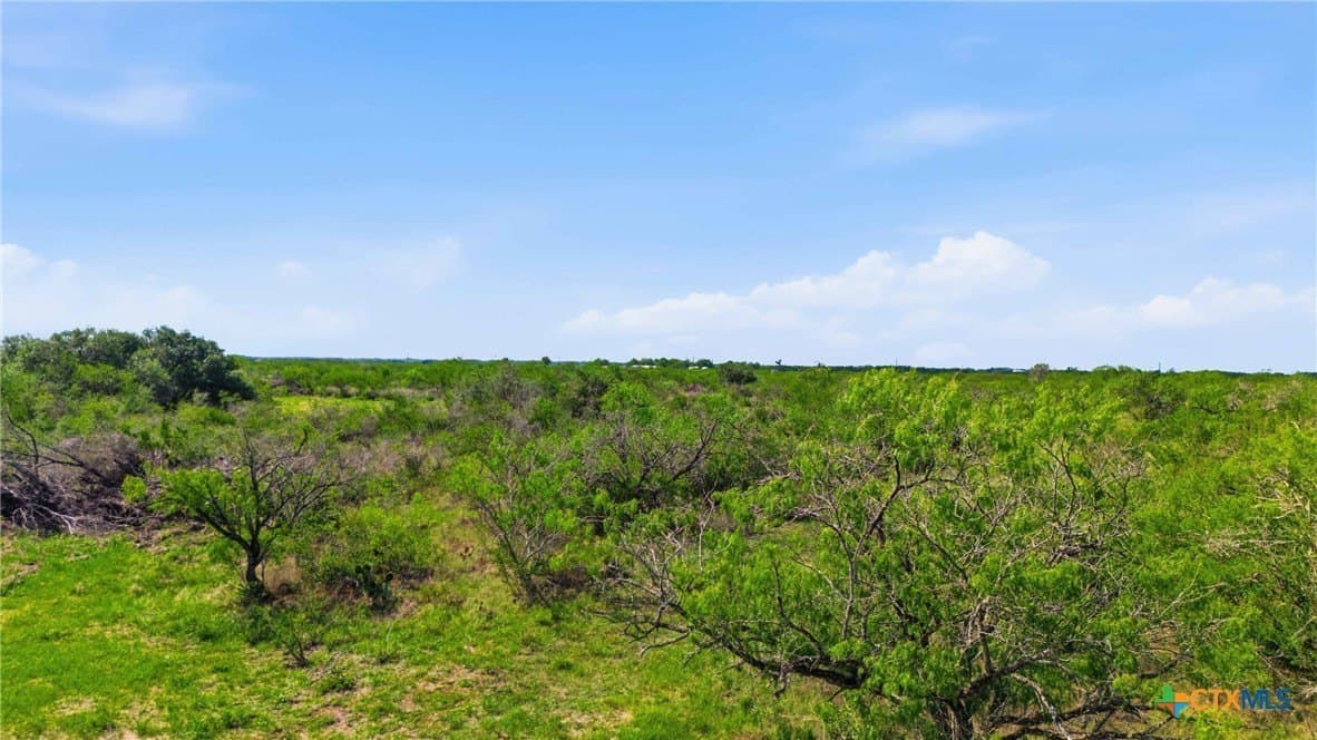 21.65 acres in Goliad County gallery image 4