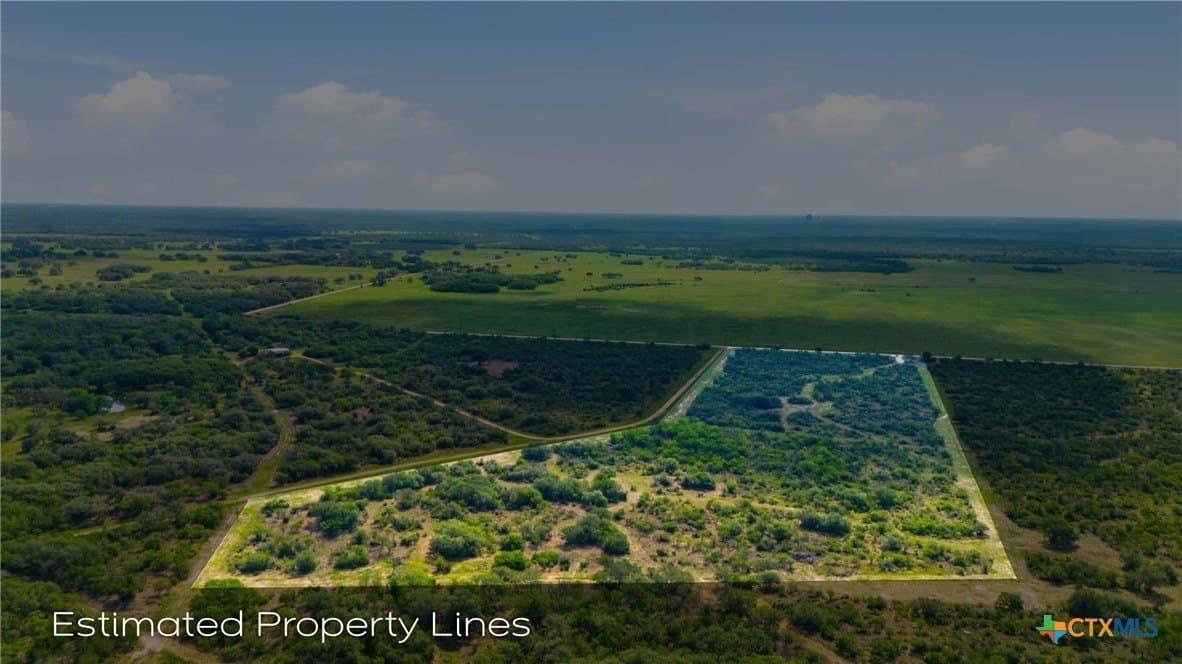 21.65 acres in Goliad County gallery image 2