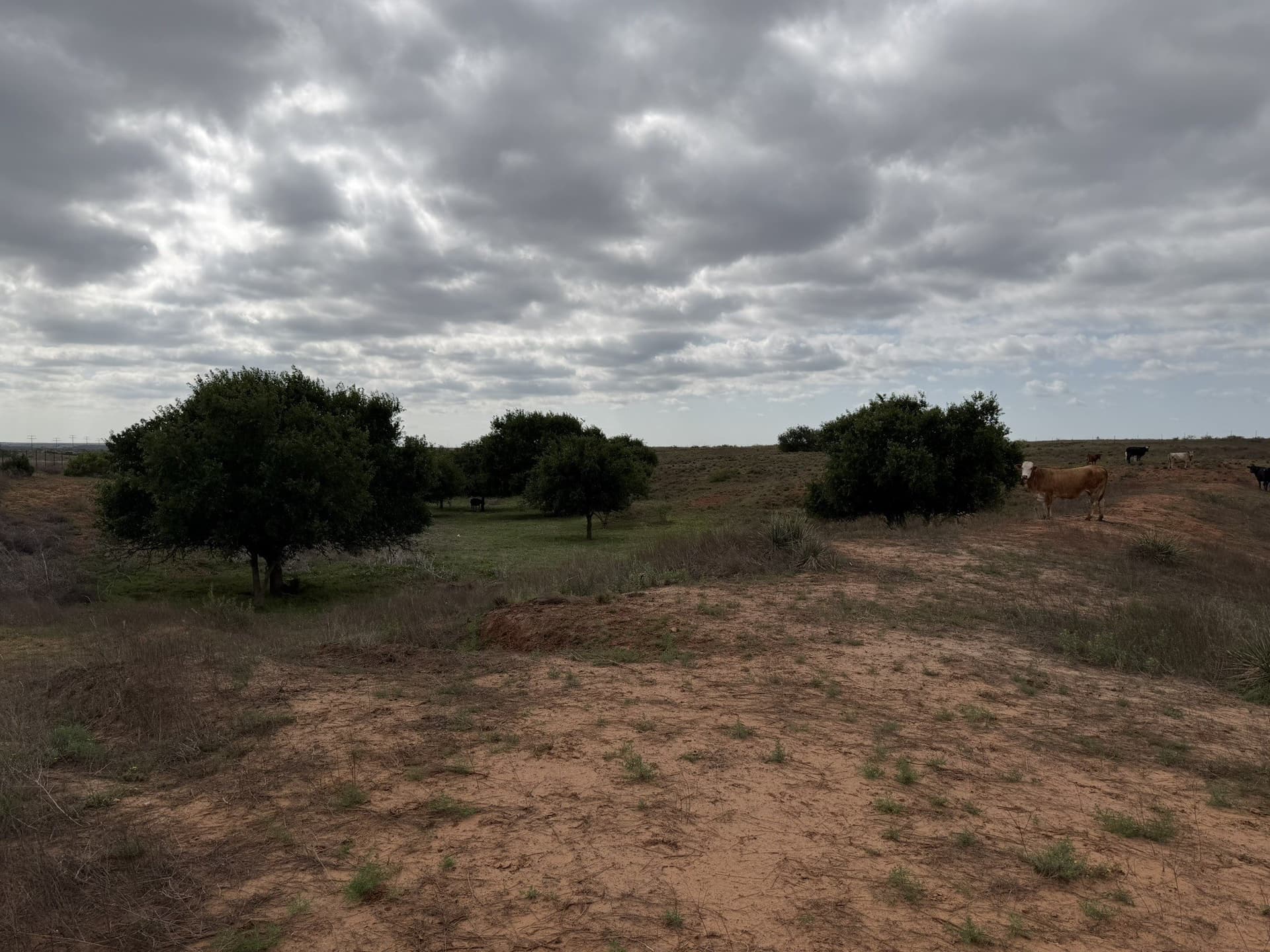 325 acres in Childress County - photo 32