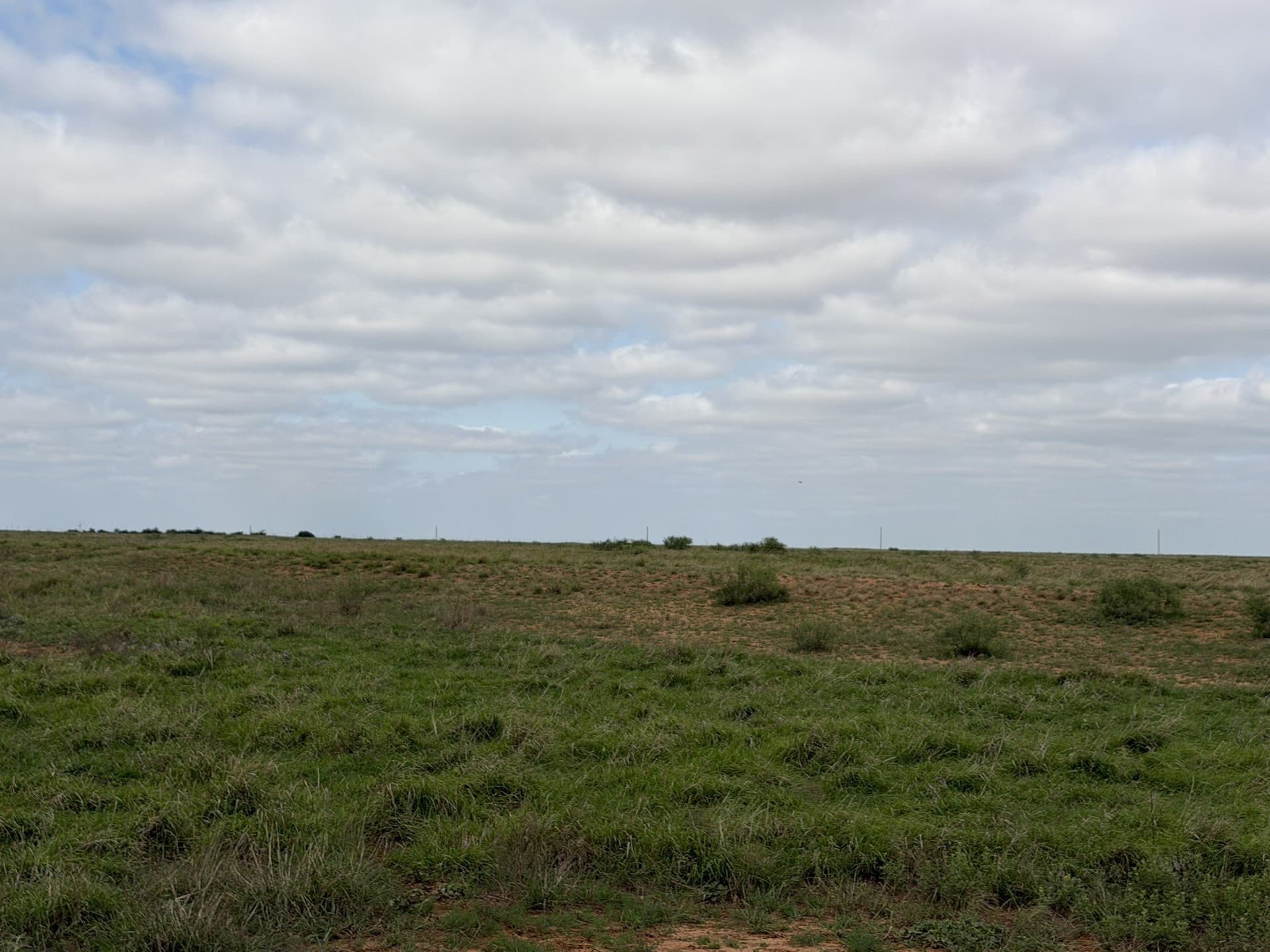 325 acres in Childress County - photo 34