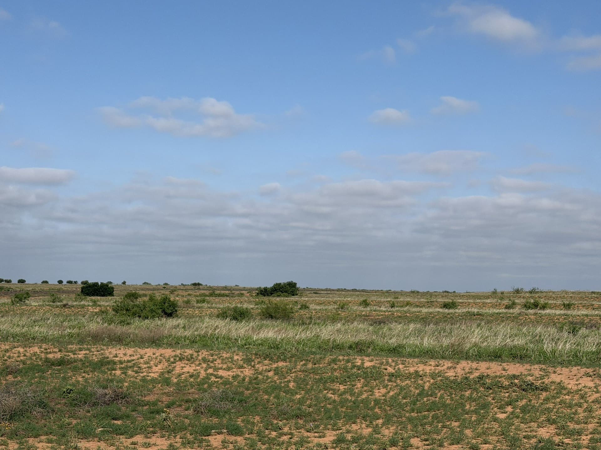325 acres in Childress County - photo 37