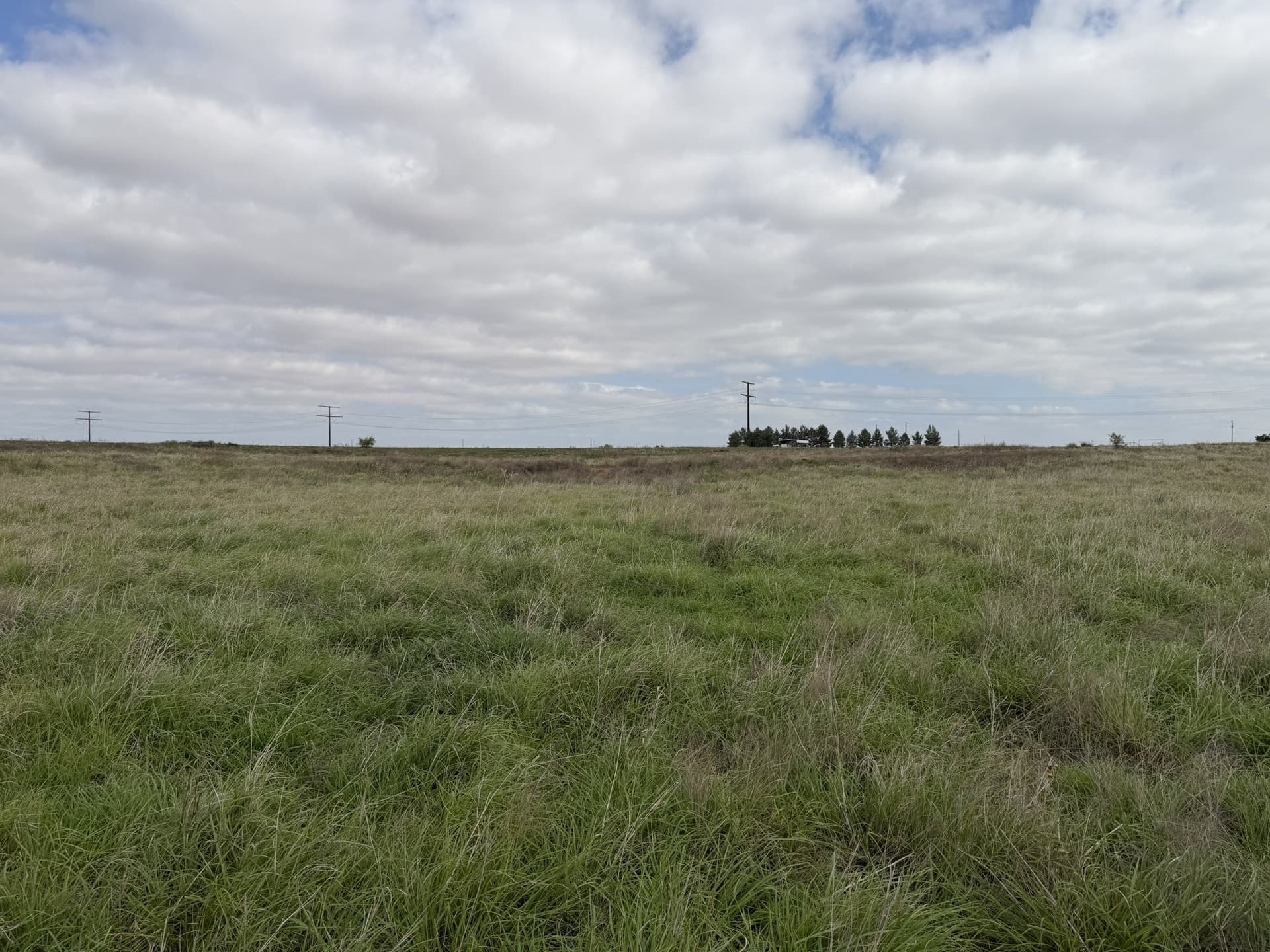 325 acres in Childress County - photo 27