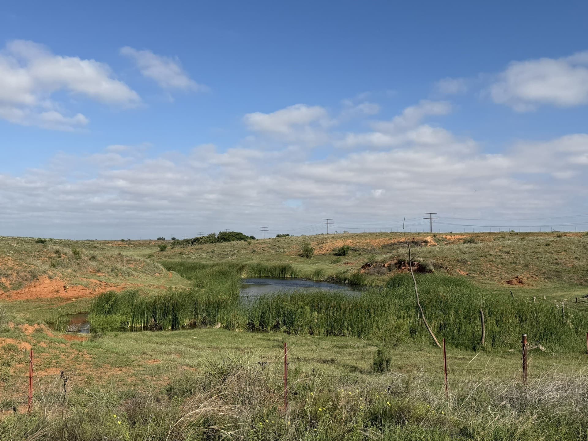 325 acres in Childress County - photo 2