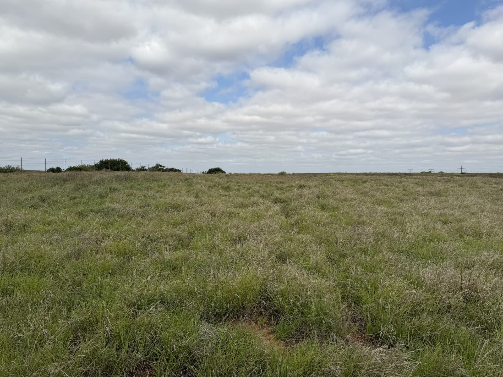 325 acres in Childress County - photo 26