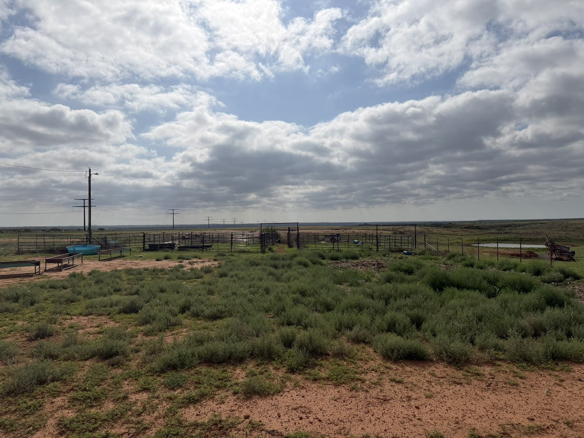 325 acres in Childress County - photo 16