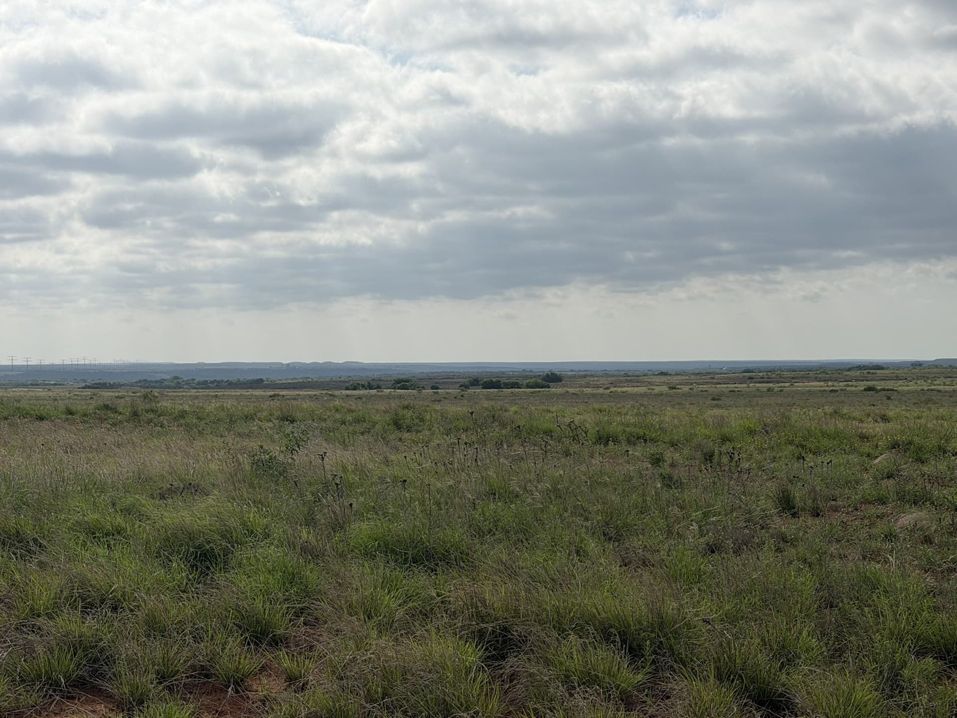 325 acres in Childress County - photo 10