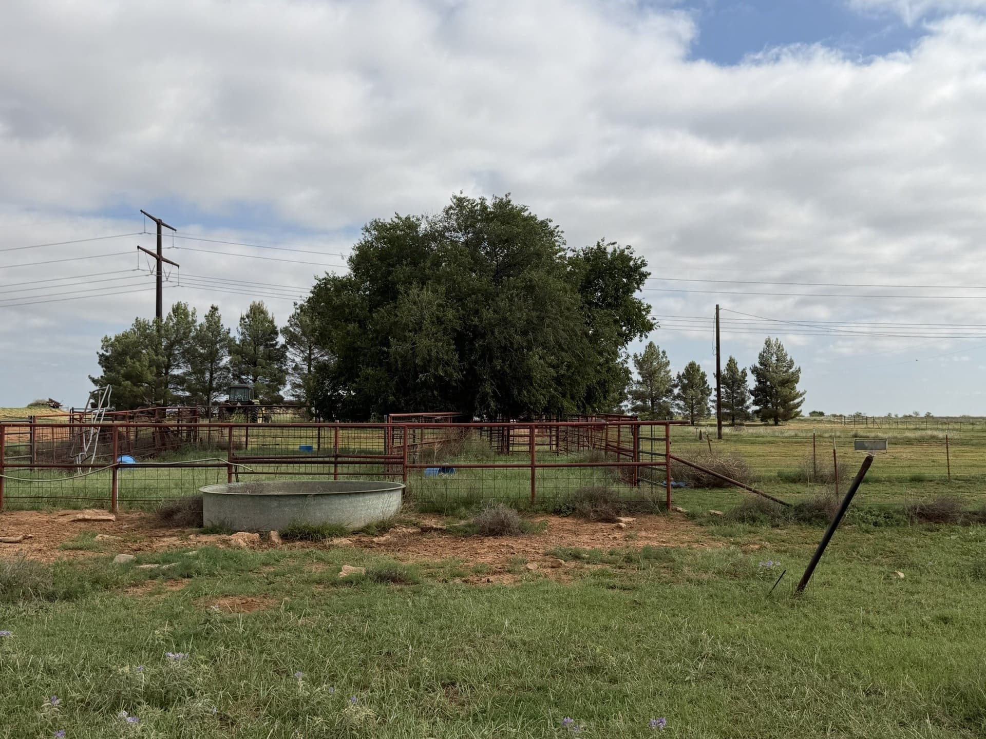 325 acres in Childress County - photo 14