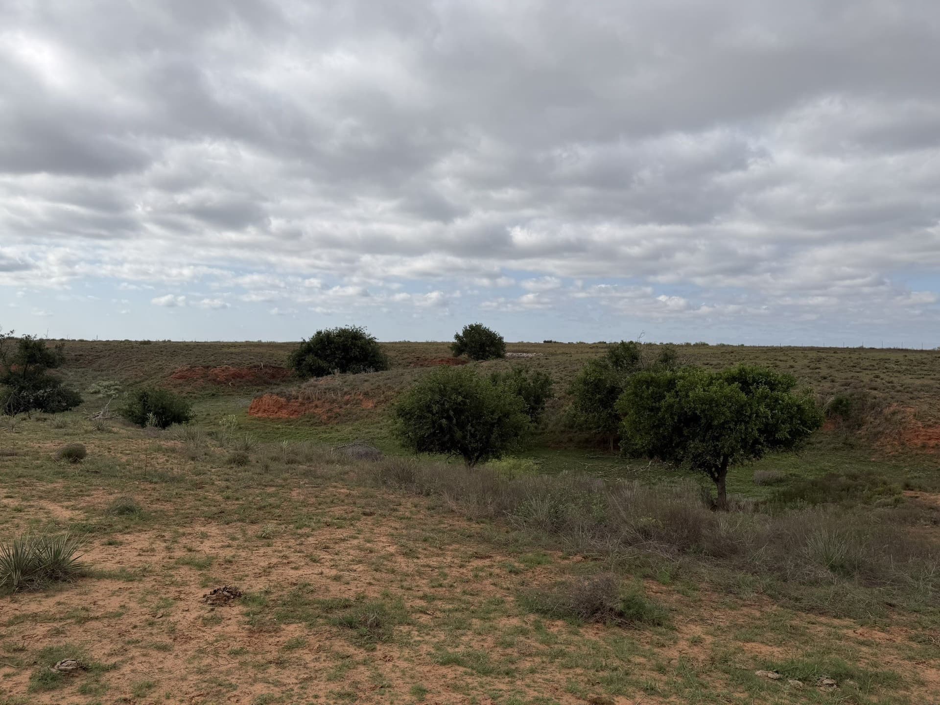 325 acres in Childress County - photo 28