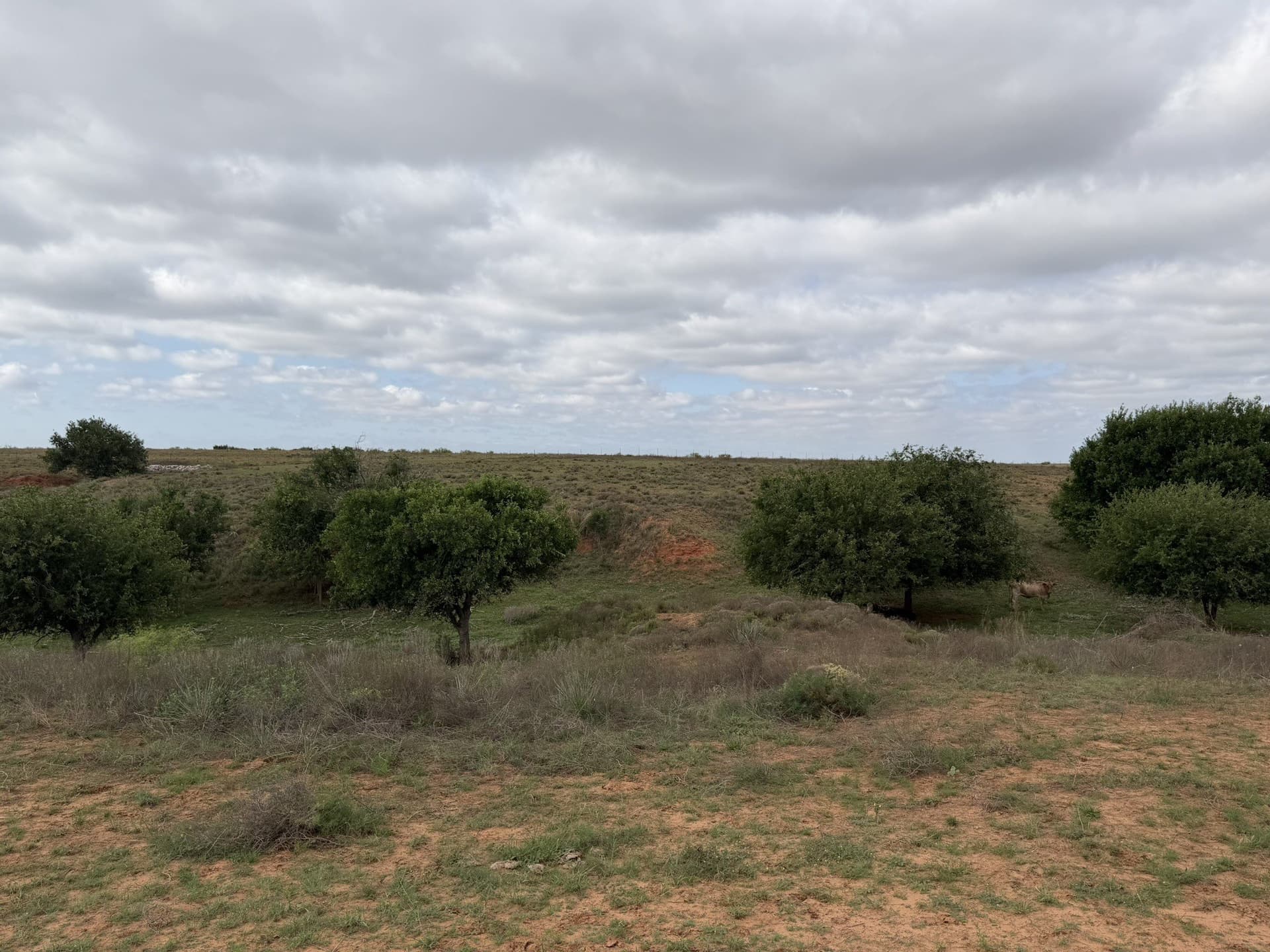 325 acres in Childress County - photo 29