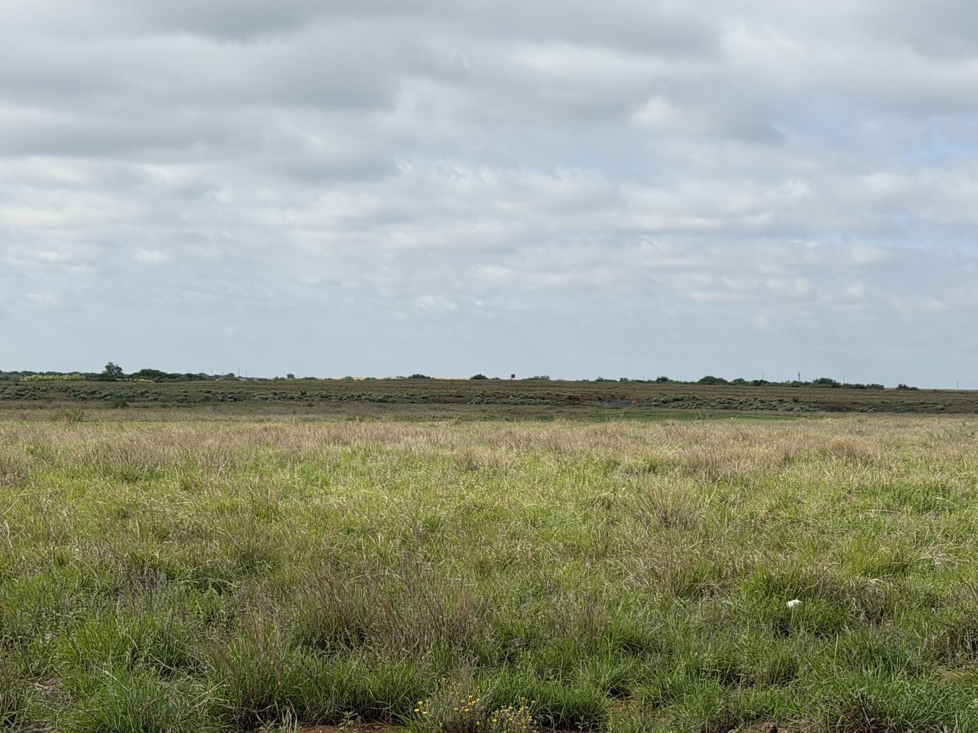 325 acres in Childress County - photo 6