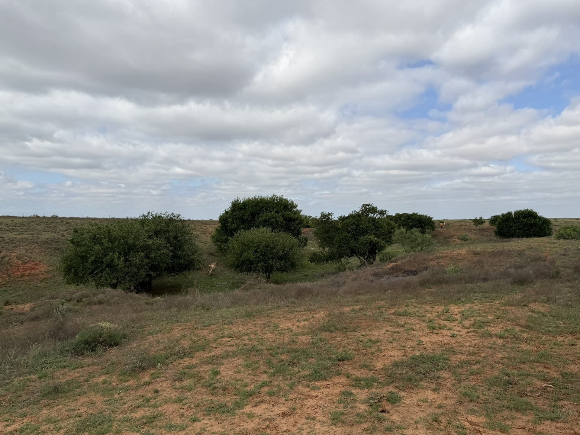 325 acres in Childress County - photo 30