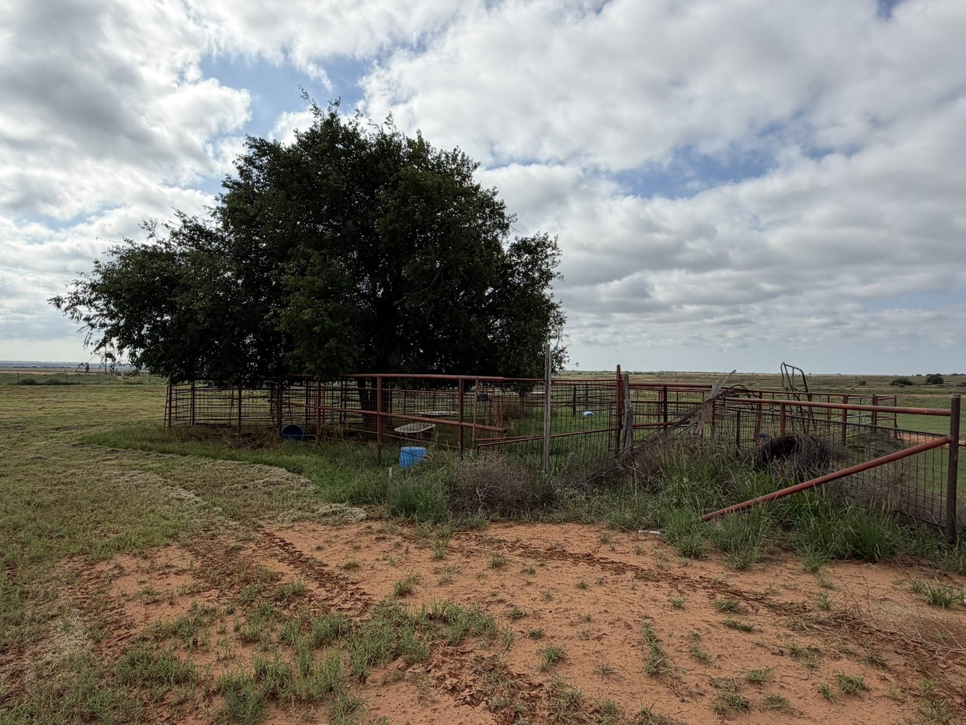 325 acres in Childress County - photo 12