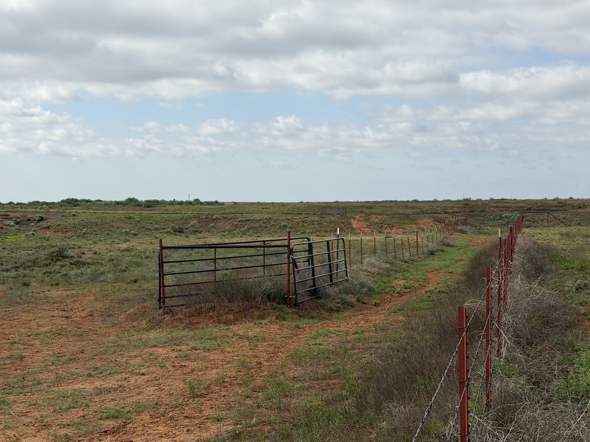325 acres in Childress County - photo 22