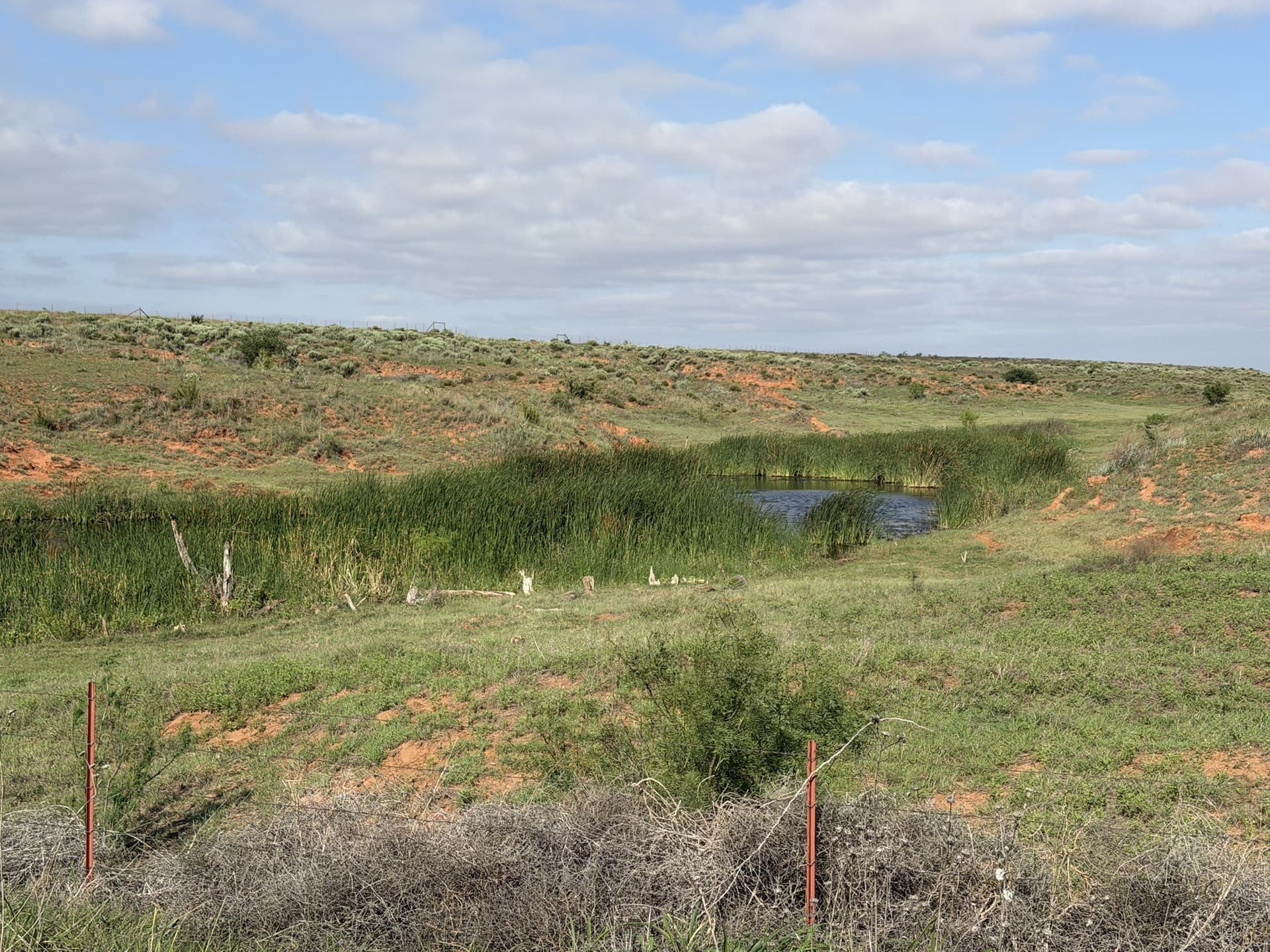 325 acres in Childress County - photo 3