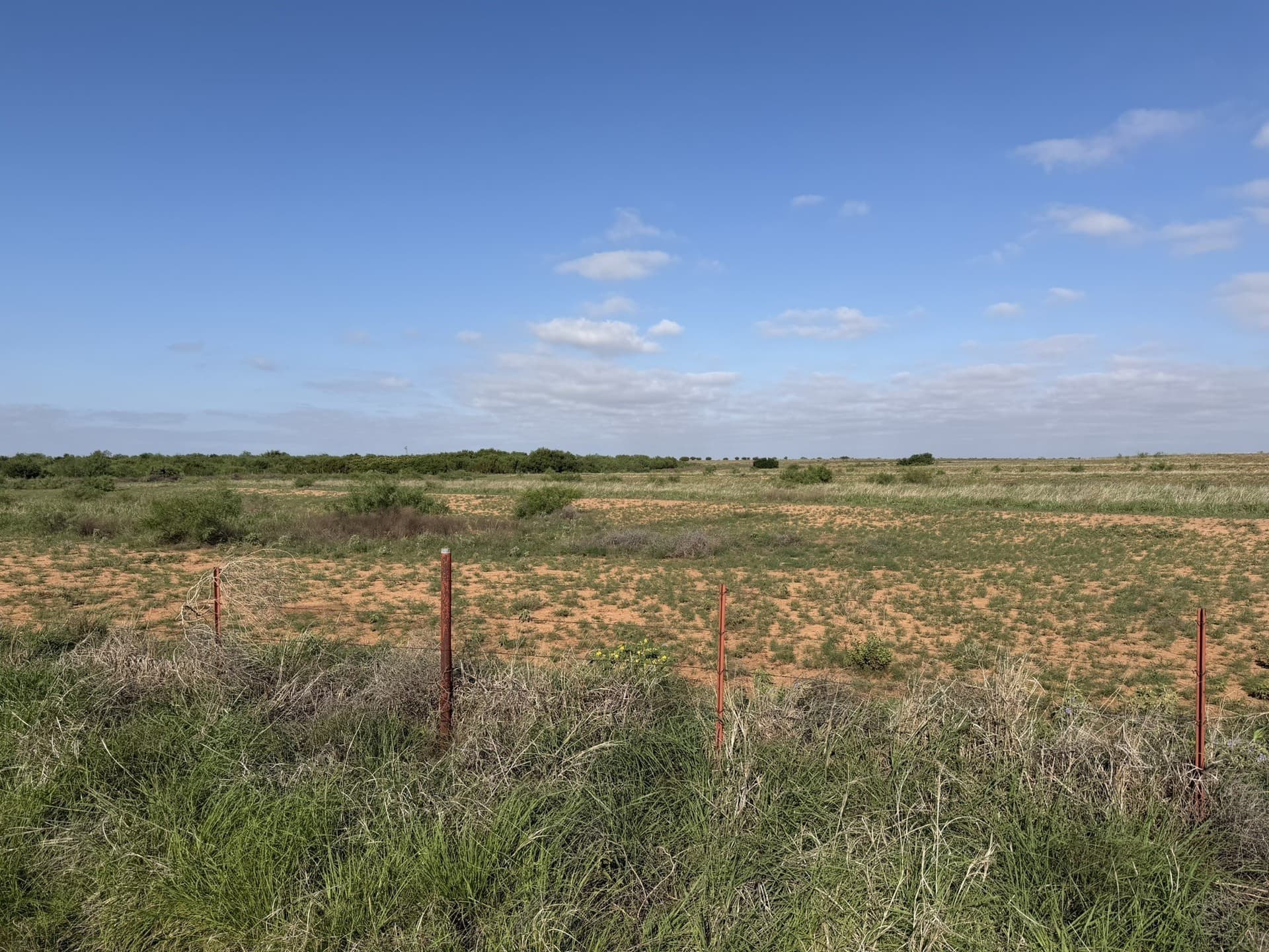 325 acres in Childress County - photo 36