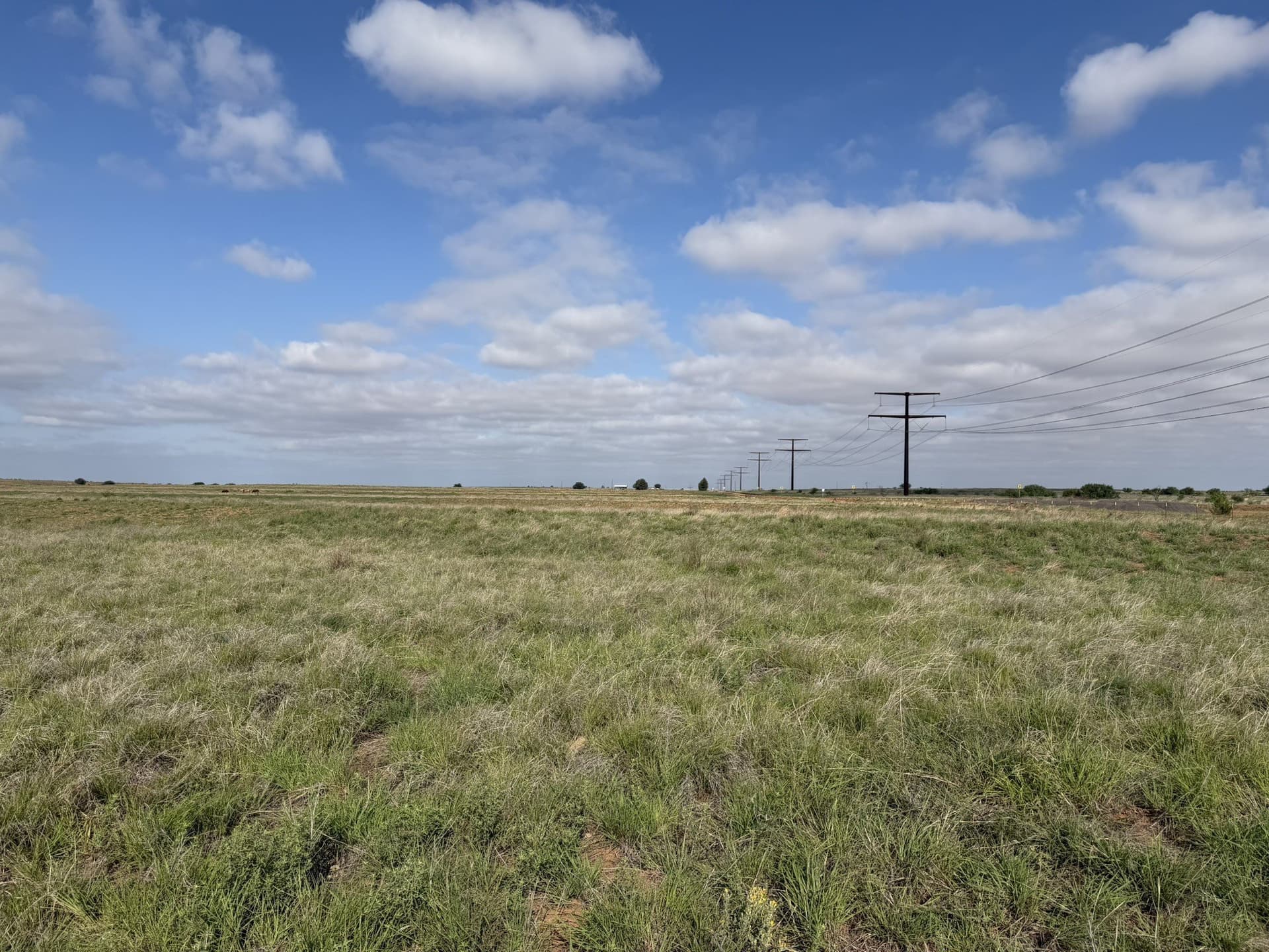 325 acres in Childress County - photo 5