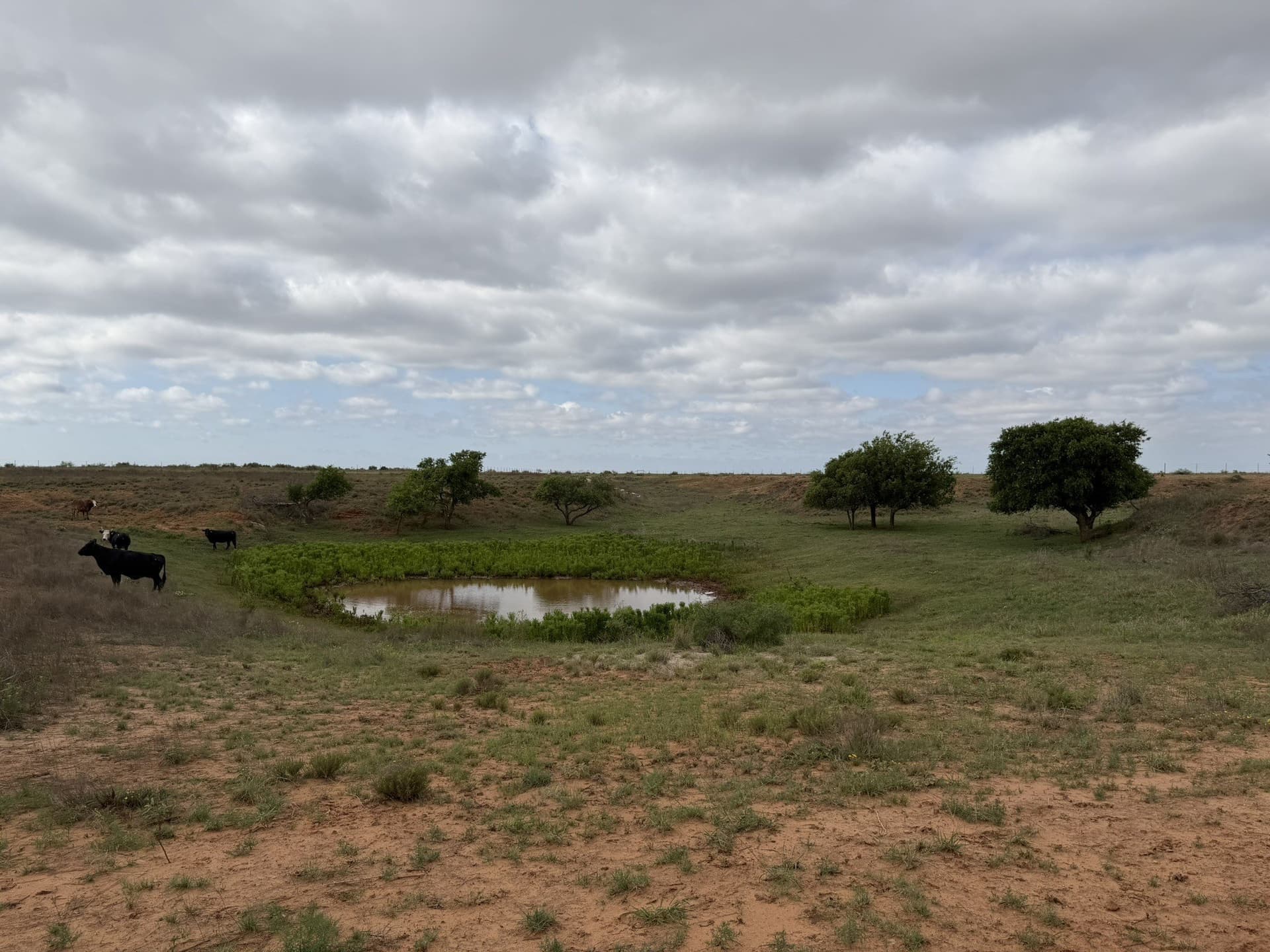 325 acres in Childress County - photo 31