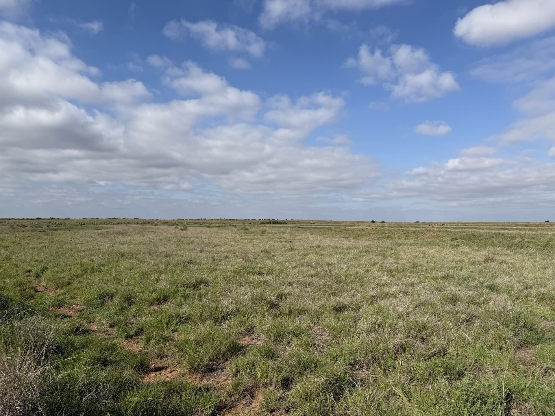 325 acres in Childress County - photo 4