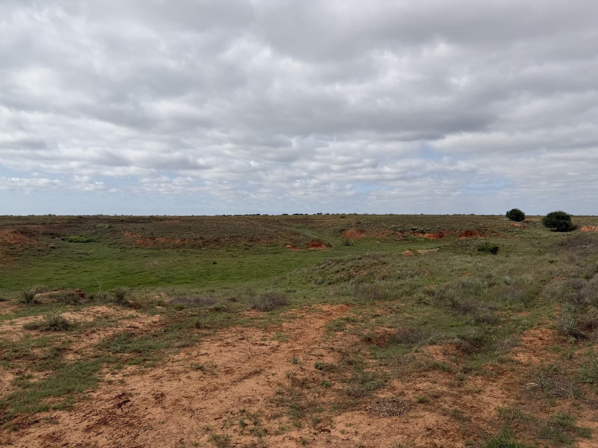 325 acres in Childress County - photo 25
