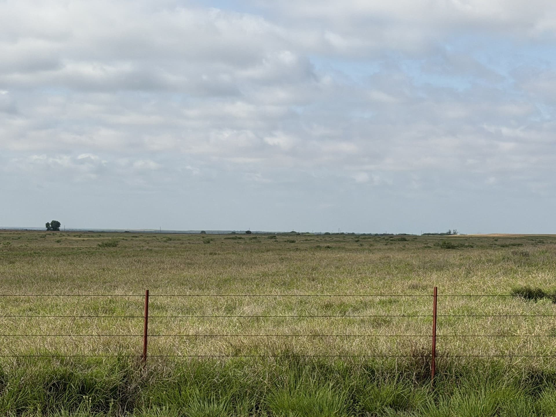325 acres in Childress County - photo 8