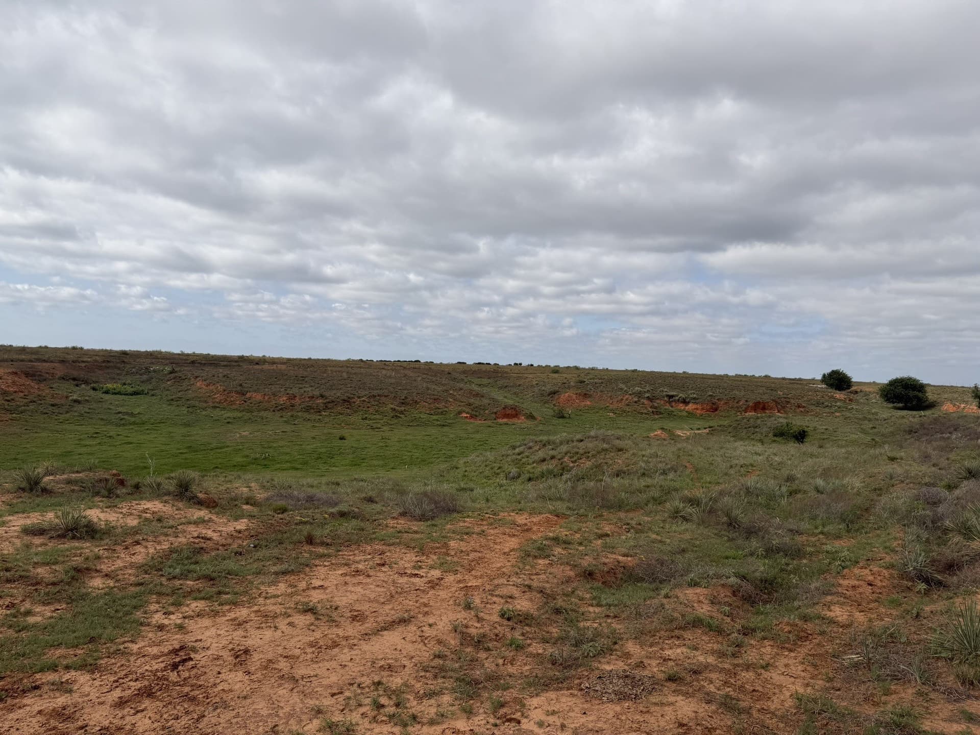 325 acres in Childress County - photo 24