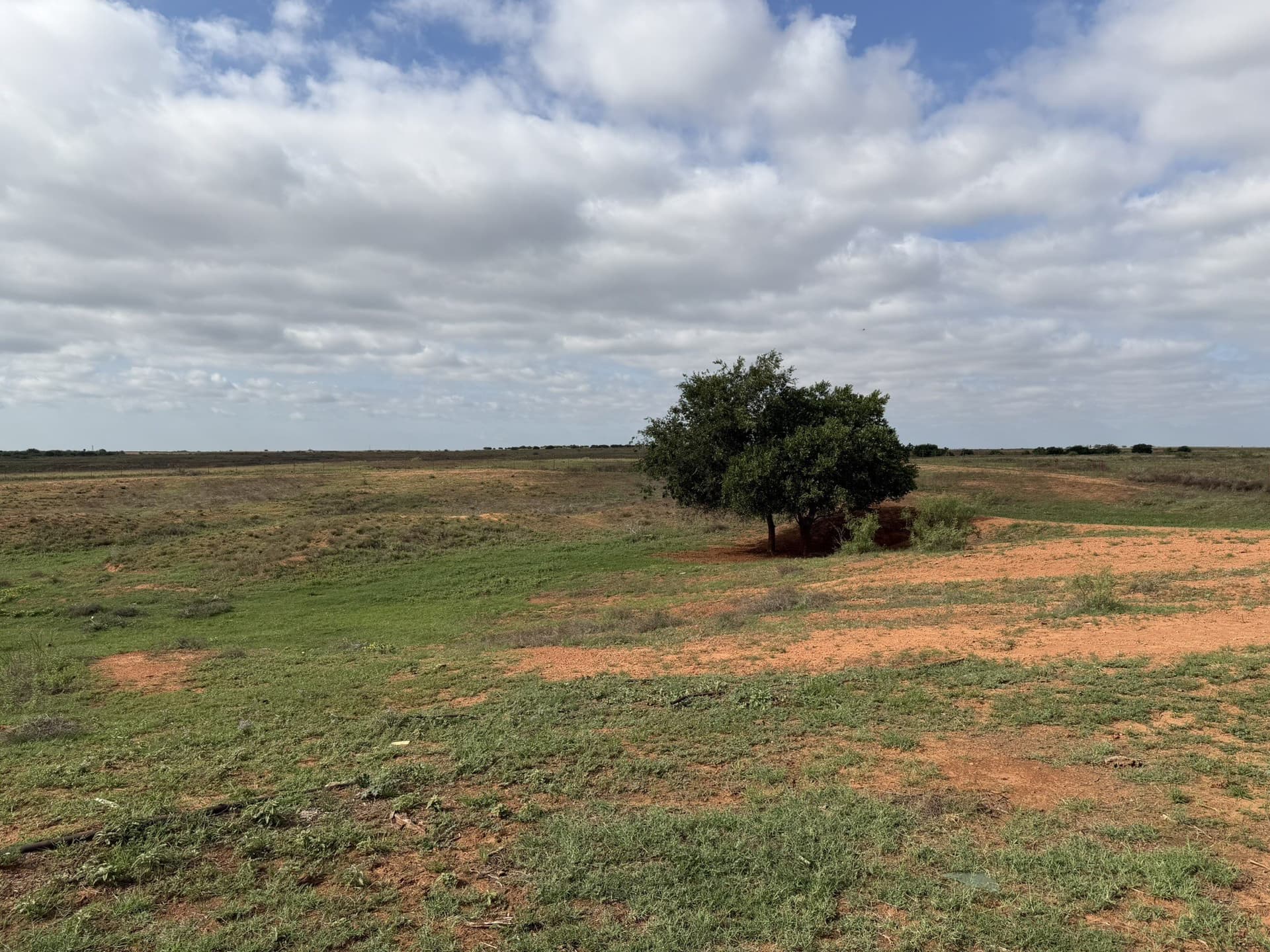 325 acres in Childress County - photo 19
