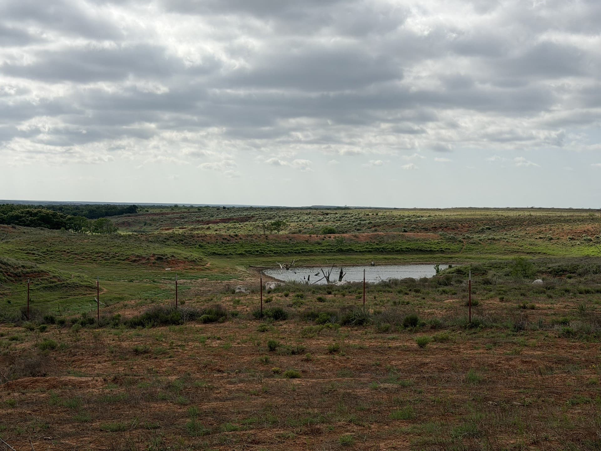 325 acres in Childress County - photo 21