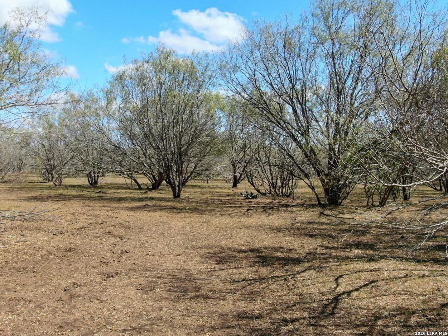 12 acres in Wilson County - photo 10