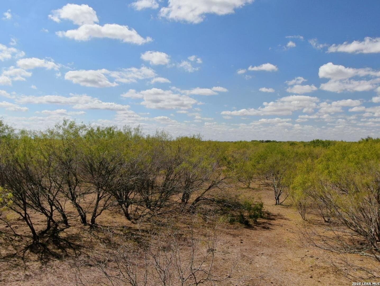 12 acres in Wilson County - photo 13