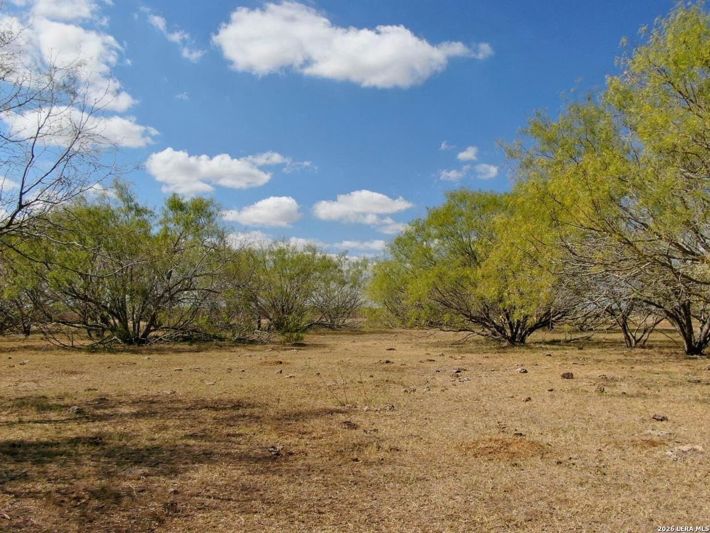 12 acres in Wilson County - photo 8
