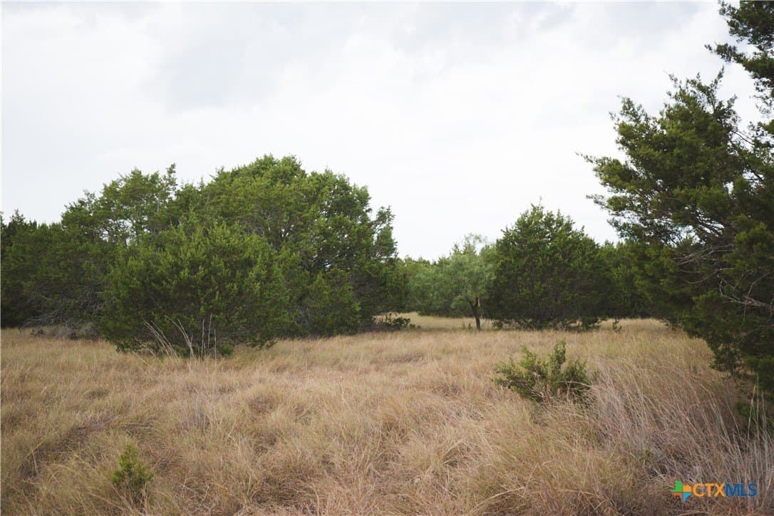 10 acres in Lampasas County - photo 4