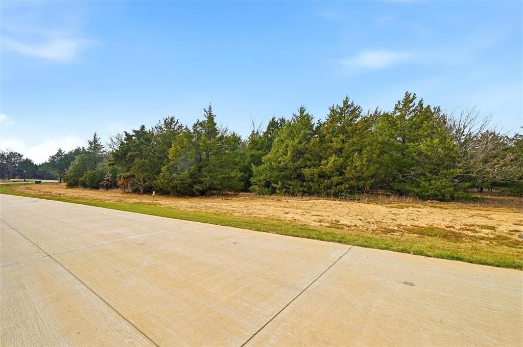 1.1 acres in Grayson County gallery image 2