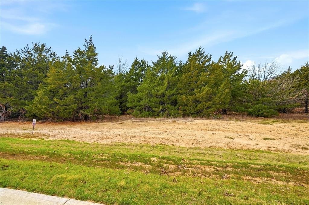 1.1 acres in Grayson County gallery image 3