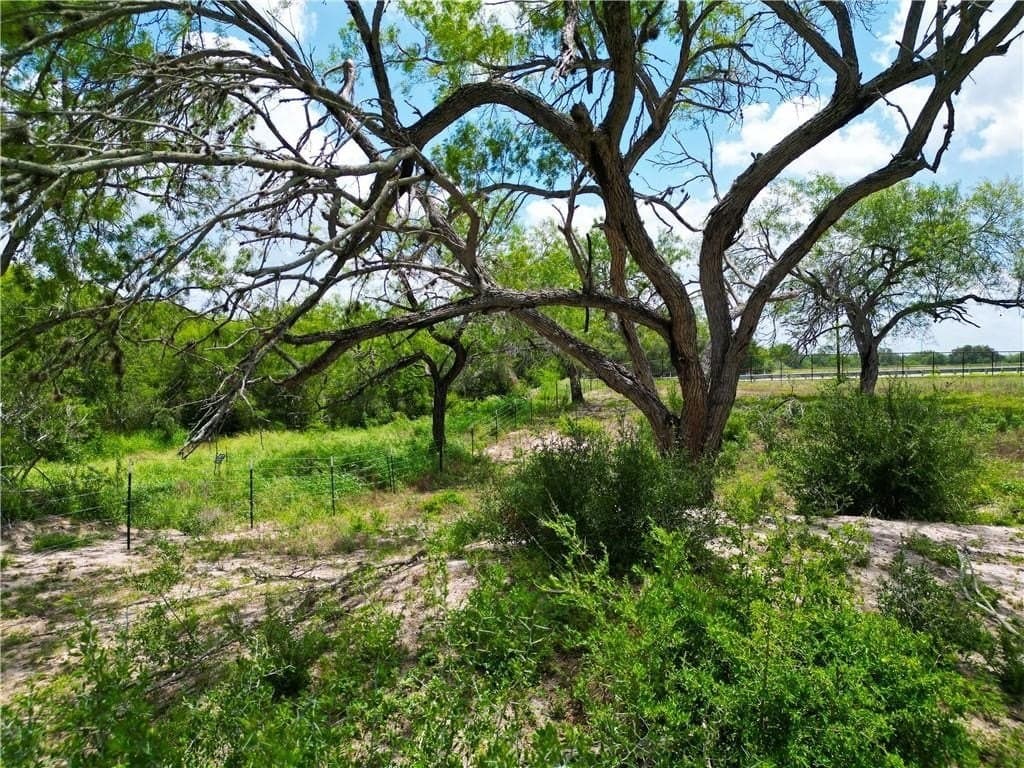 69.93 acres in Bee County - photo 17