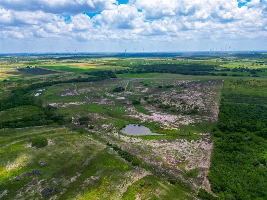 69.93 acres in Bee County - photo 19