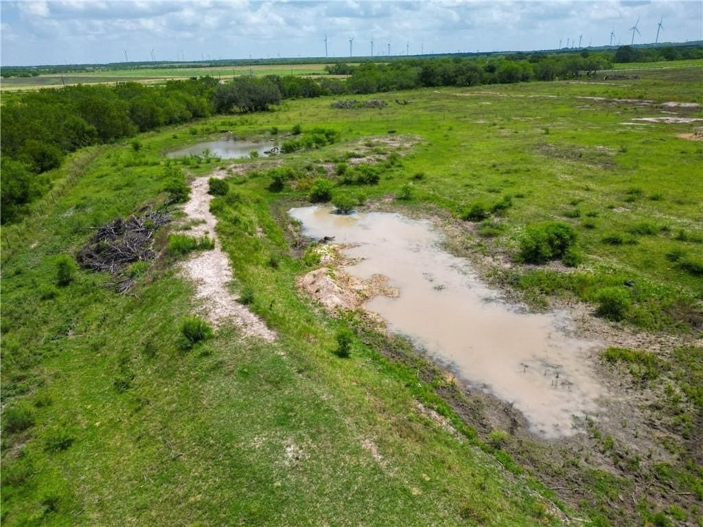 69.93 acres in Bee County - photo 8