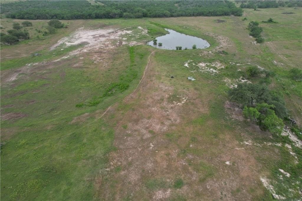 69.93 acres in Bee County - photo 7