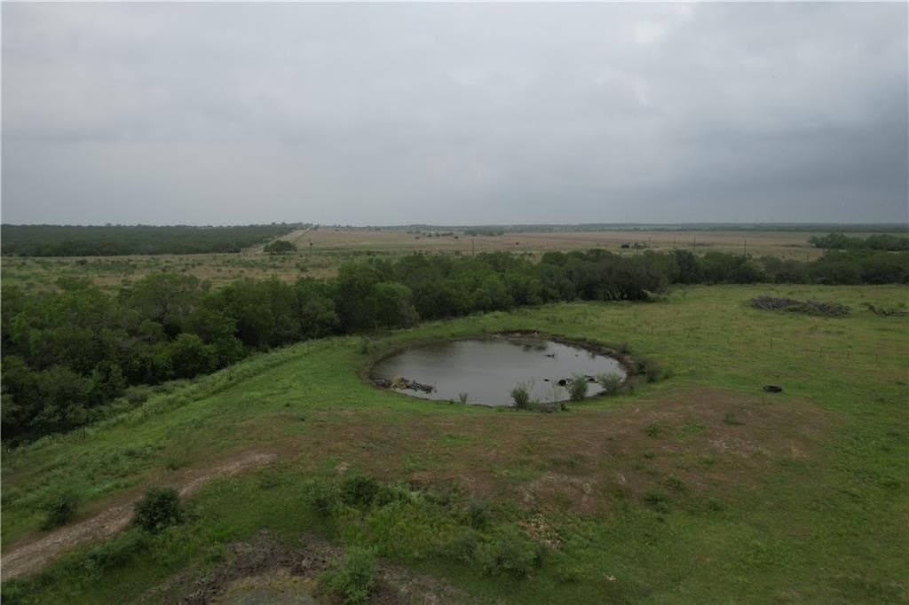 69.93 acres in Bee County gallery image 2